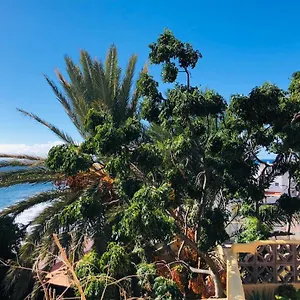 https://efigenia-playa-mar-3.in-canary-islands.com